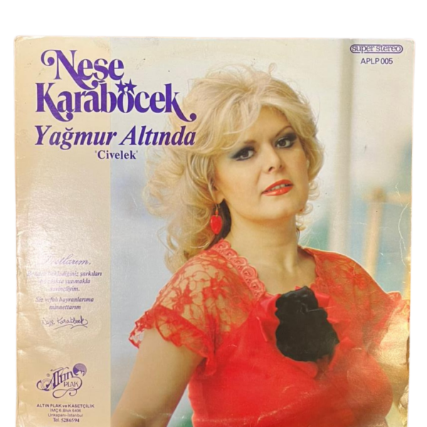 Neşe Karaböcek – Yağmur Altında “Civelek” LP