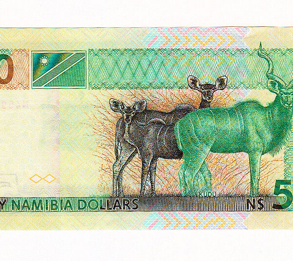 Namibia 50 Dollars 2018 Pick-13 UNC - çil banknot