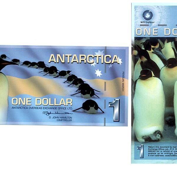 z ANTARCTICA 1 Dollar 2007 without stripes - ÇİL banknot (UNC)