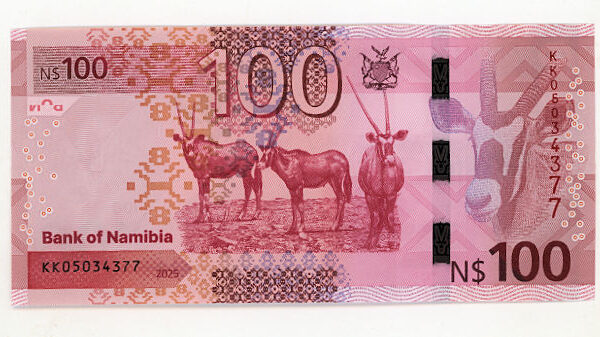 Namibia 100 Dollars 2025 UNC - çil banknot
